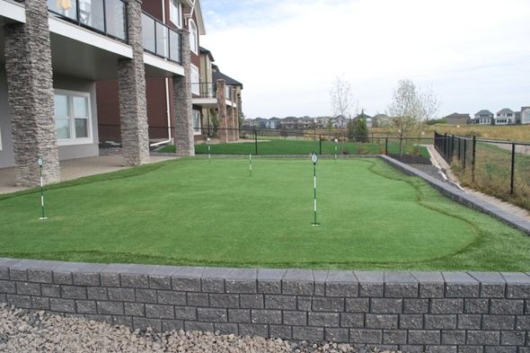 Toronto residential backyard putting green grass near modern home with golf flags