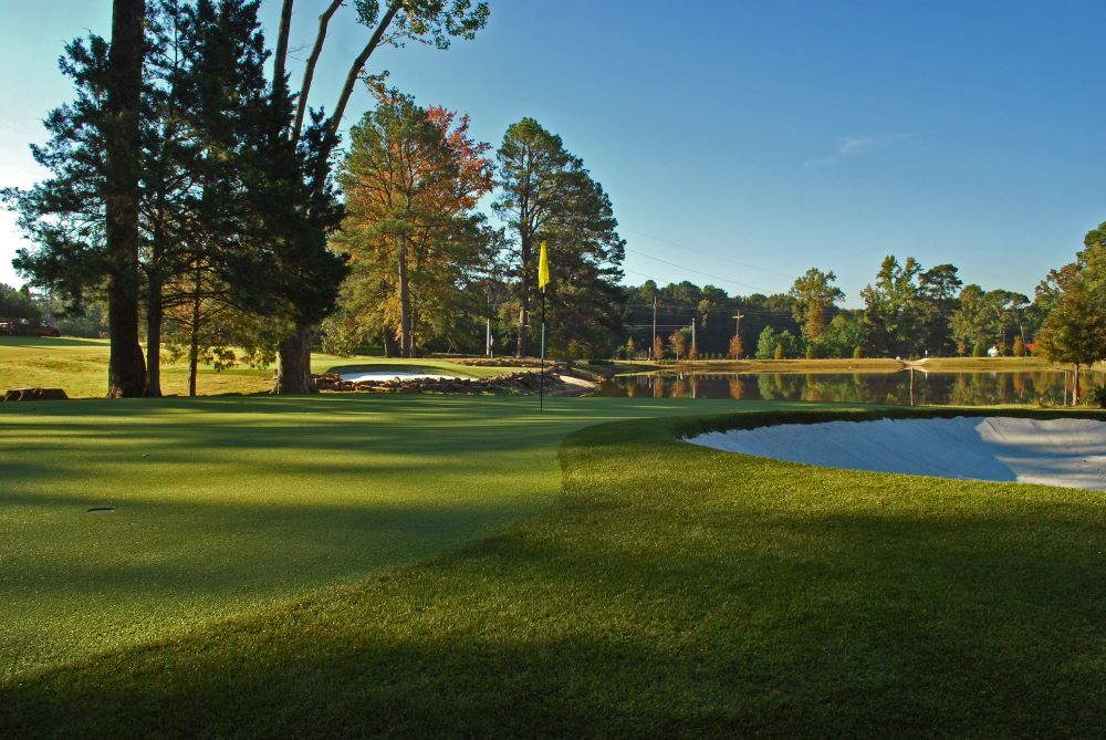 Toronto Artificial Turf Golf Course