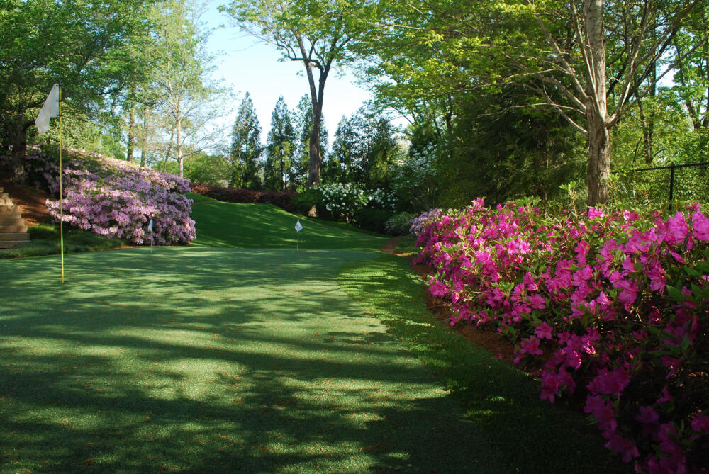 Toronto backyard putting green grass