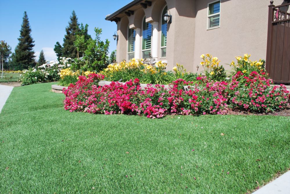 Front yard made with artificial grass, featuring flowers and in front of a landscaped house.