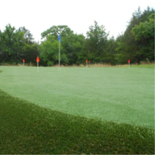 Why Is a Backyard Putting Green in Toronto Worth It?