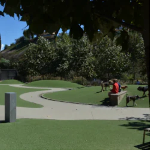 What to Understand Prior to When You Spec a Dog Park Surface in Toronto