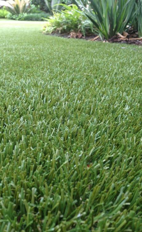 Toronto artificial grass