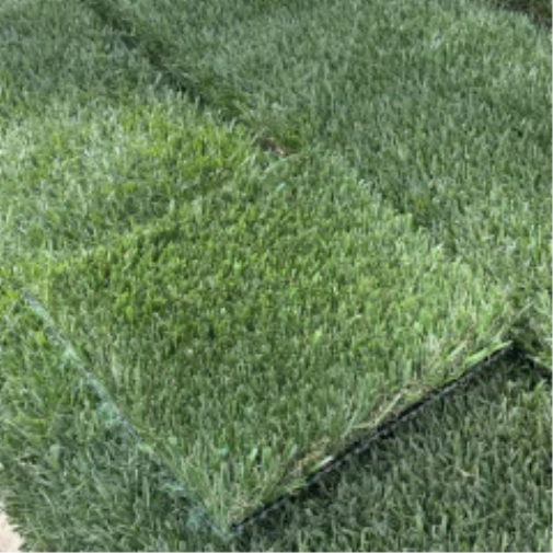 Introducing Wide Blade Turf in Toronto