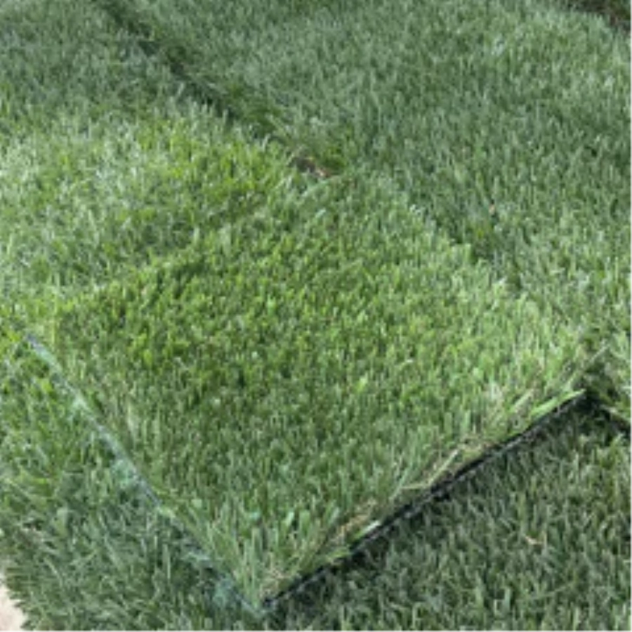 Introducing Wide Blade Turf in Toronto