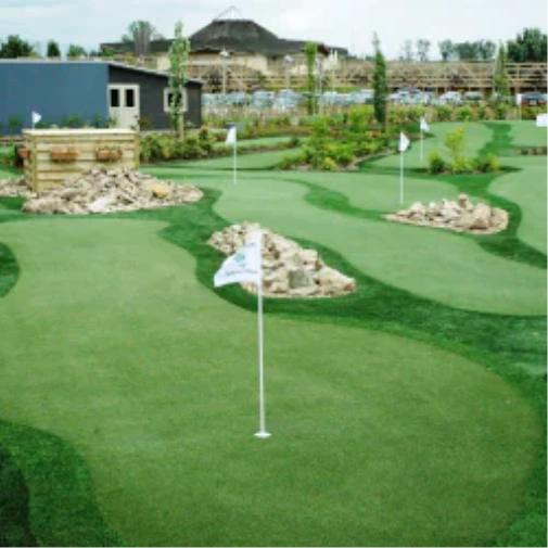 Top Mini Golf Courses in Toronto