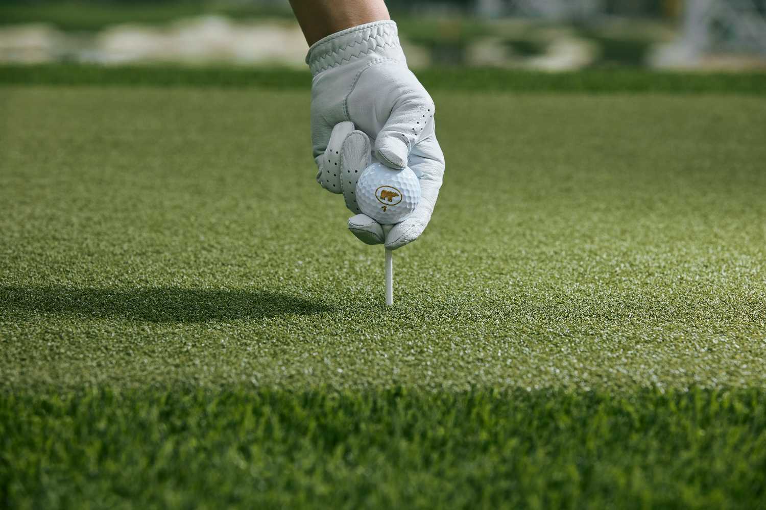 Toronto driving range