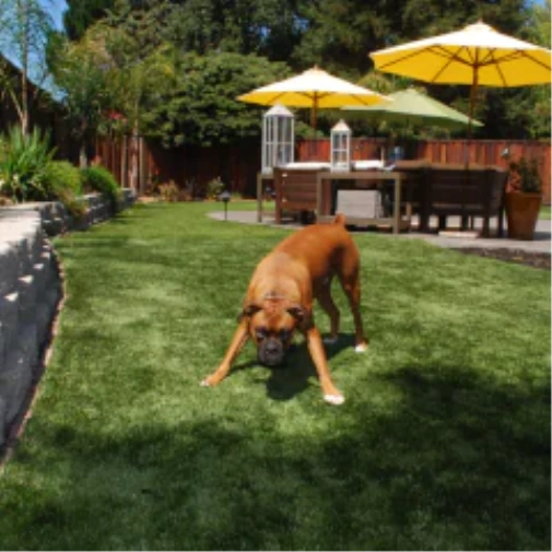 How fake grass for dogs Transforms Your Toronto Outdoor Space