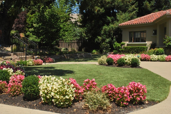 Toronto Artificial Turf Lansdscaping