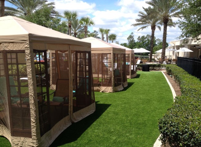 Toronto commercial landscape turf